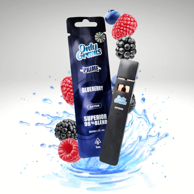 OnlyGrams® Einweg-Vape - Blueberry Superior Blend 🍇