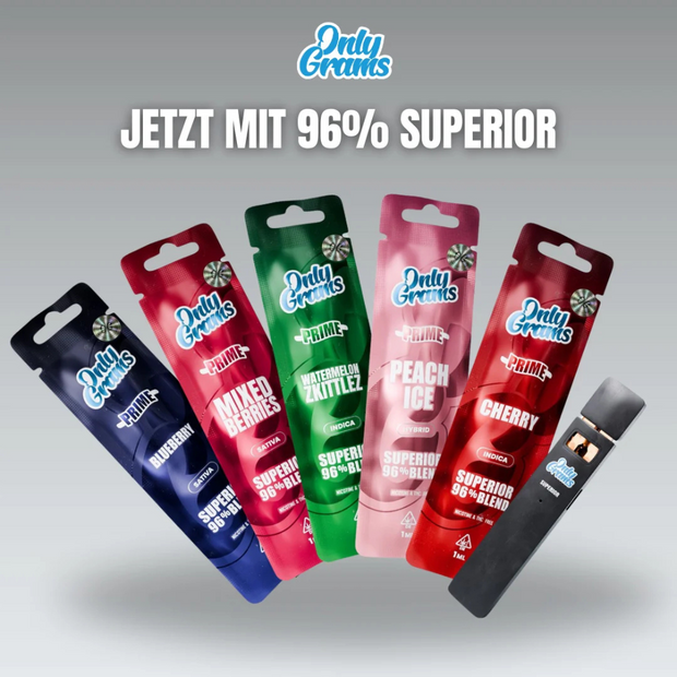 OnlyGrams® Einweg-Vape - Blueberry Superior Blend 🍇